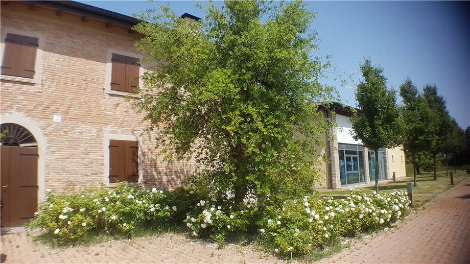 For sale Country house San Prospero San Pietro in Elda #1507 n.3