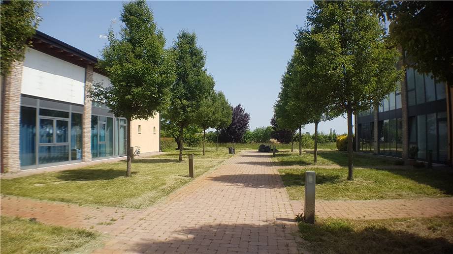 For sale Country house San Prospero San Pietro in Elda #1507 n.4