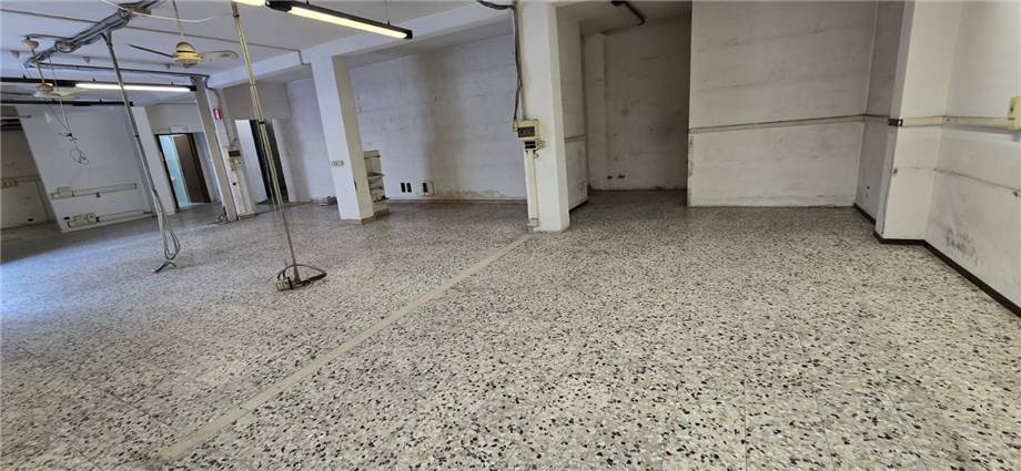 For sale Shop Modena  #1575 n.4