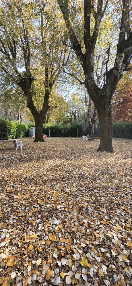 Vendita Appartamento Modena Modena Est #1605 n.32