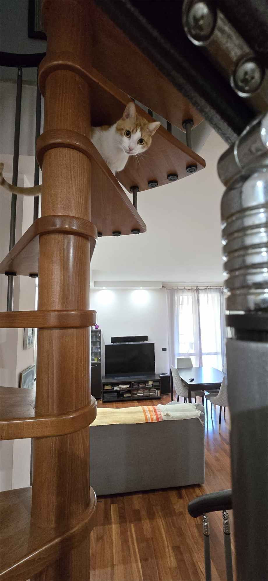 Vendita Appartamento Modena Madonnina #1606 n.8