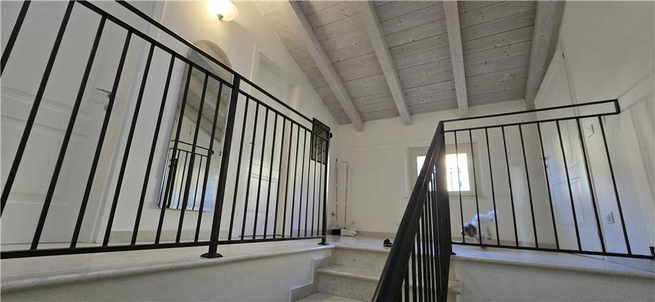 Vendita Terratetto/Terracielo Modena Crocetta #1638 n.16