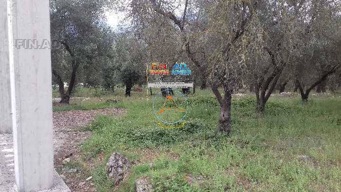 Venta Terreno agrícola Itri Valle Scala #Vtit054596 n.2