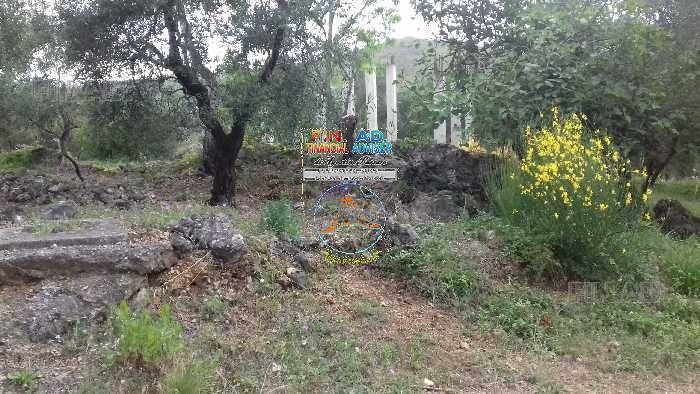 Venta Terreno agrícola Itri Valle Scala #Vtit054596 n.4