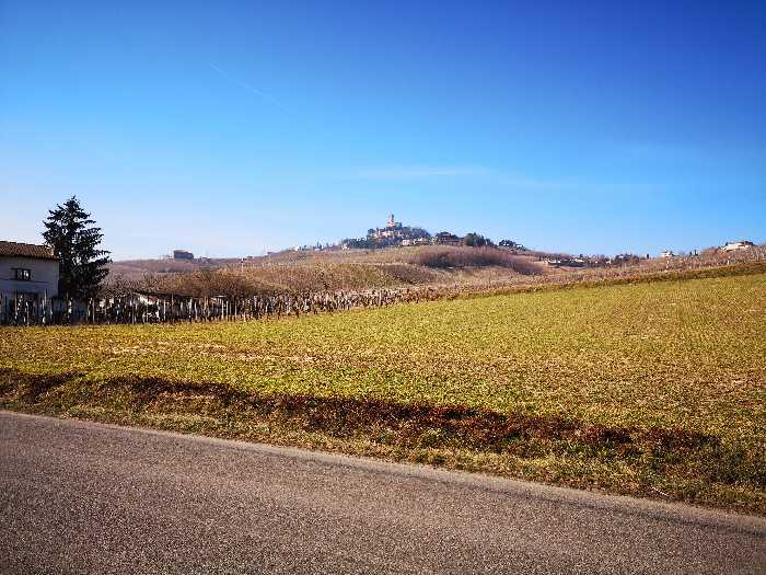 Land Cigognola #TCig.98
