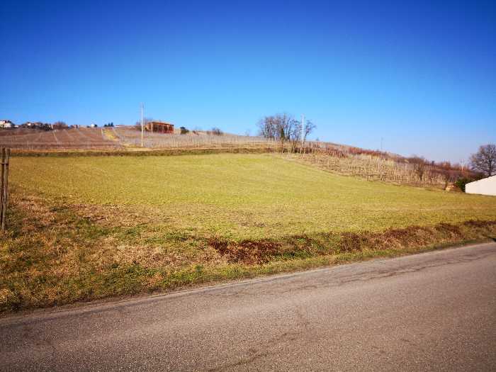 For sale Land Cigognola  #TCig.98 n.2