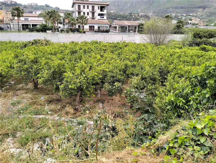 Vendita Terreno Palermo C.so dei Mille-M. Marine #A290 n.2