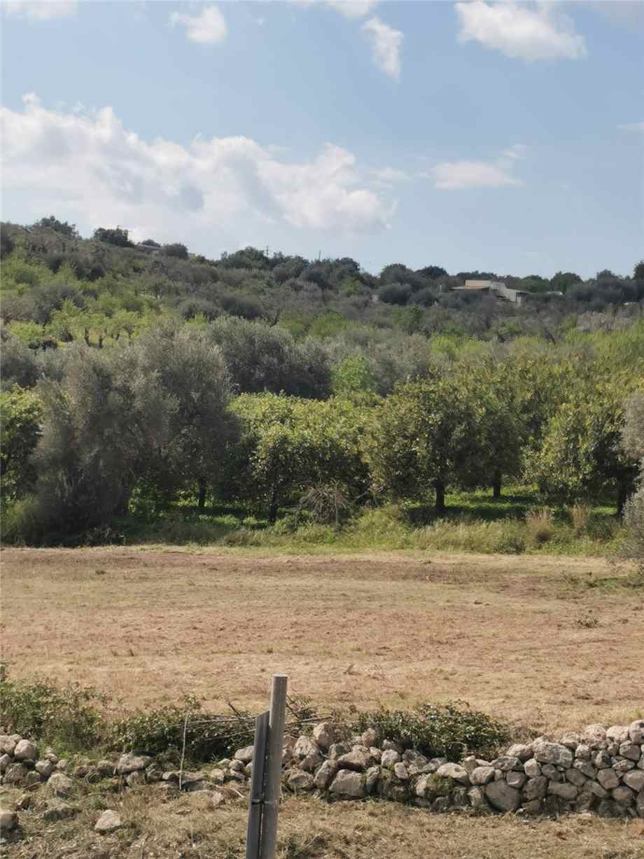 Vendita Terreno Noto #107T n.13