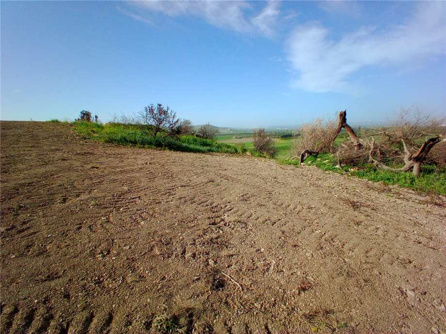 For sale Land Noto  #110T n.9