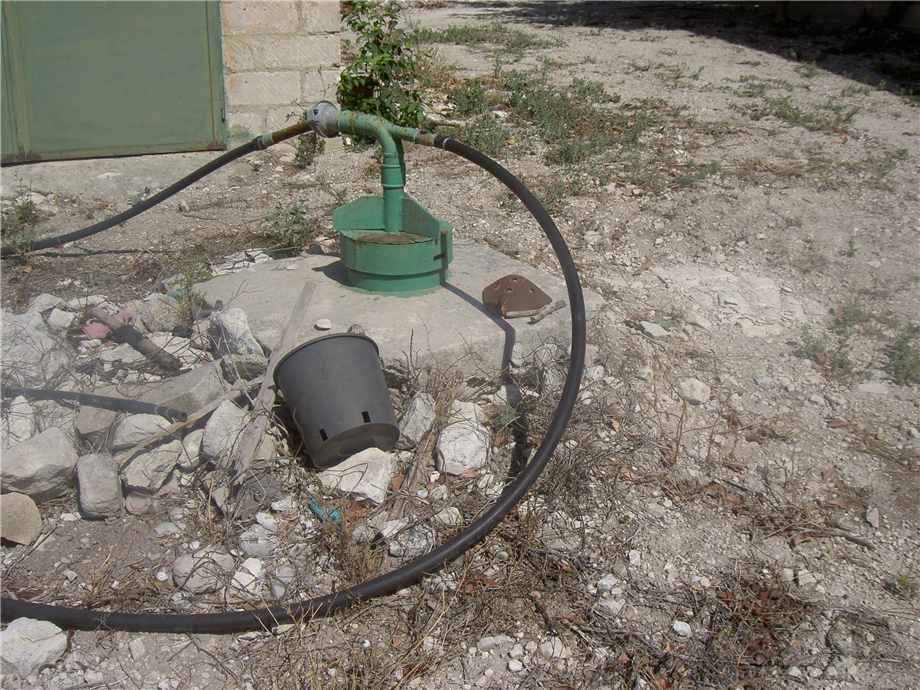 Verkauf Ruine Modica FRIGINTINI #1TM n.12