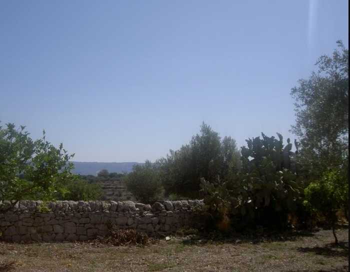 Verkauf Ruine Modica FRIGINTINI #1TM n.4