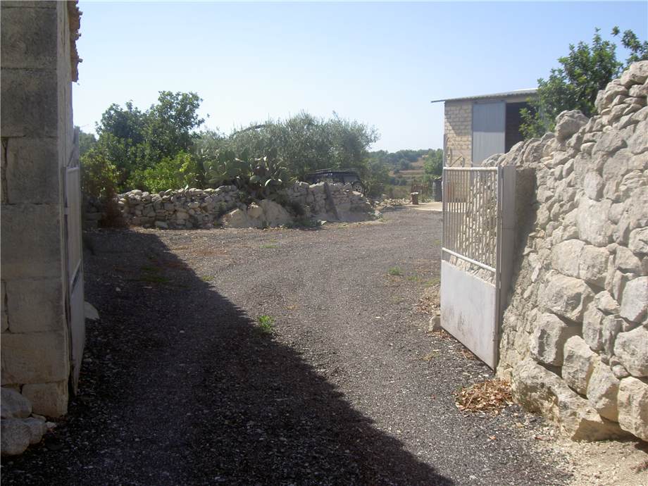 Verkauf Ruine Modica FRIGINTINI #1TM n.6