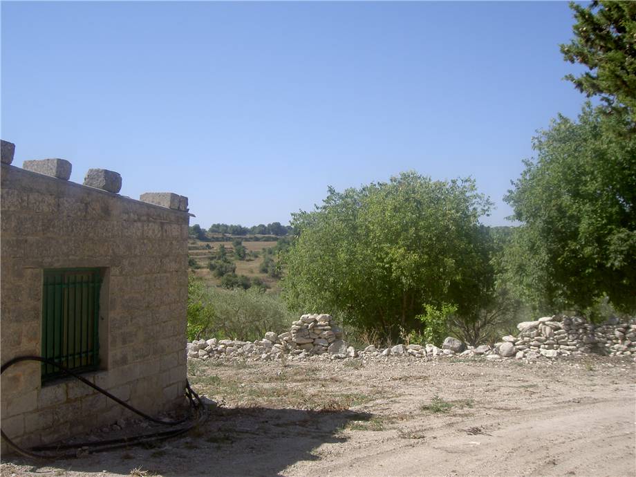 Verkauf Ruine Modica FRIGINTINI #1TM n.7
