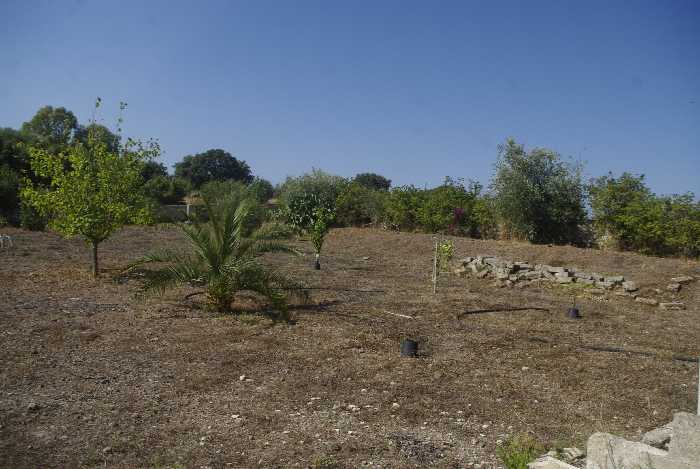 Venta Terreno Melilli #36TM n.4