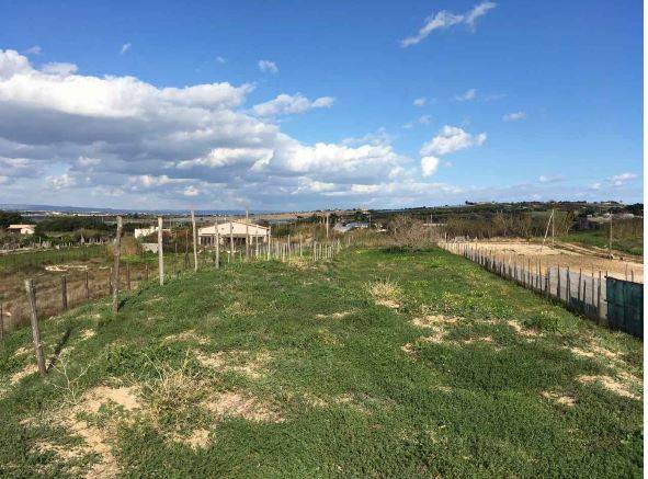 Vente Terrain Pachino #64T n.2