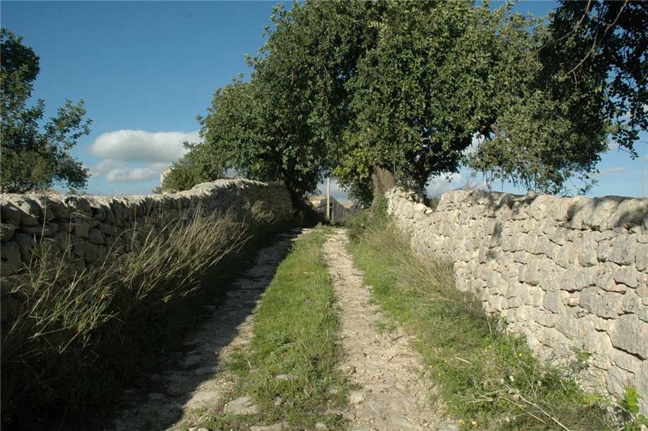 Vendita Rudere Noto  #139 n.10