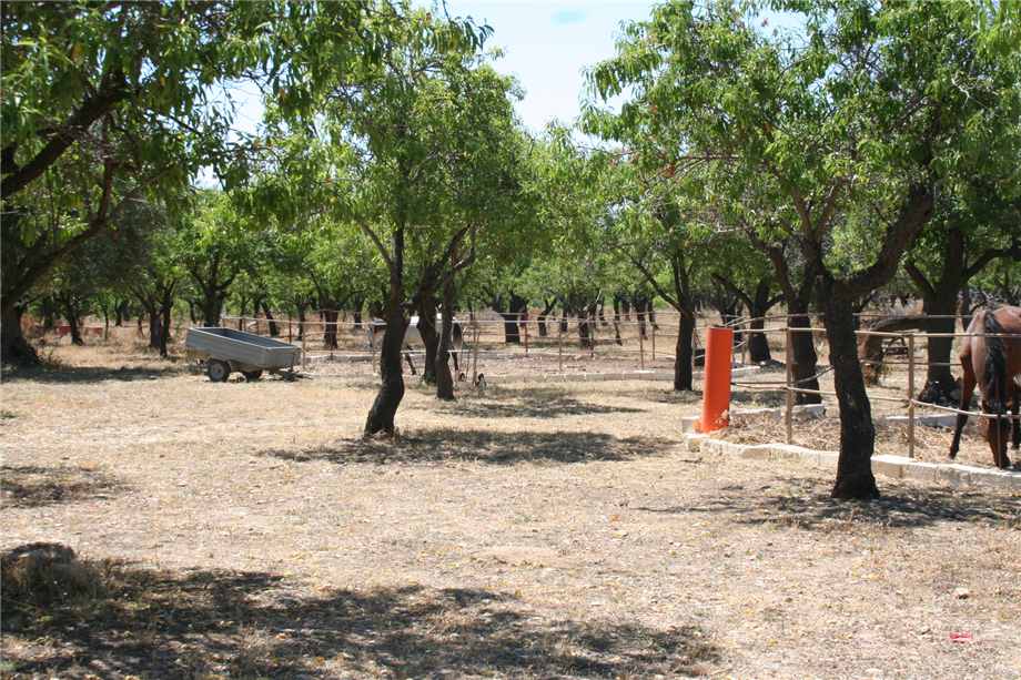 Venta Agroturismo Noto #68AG n.9