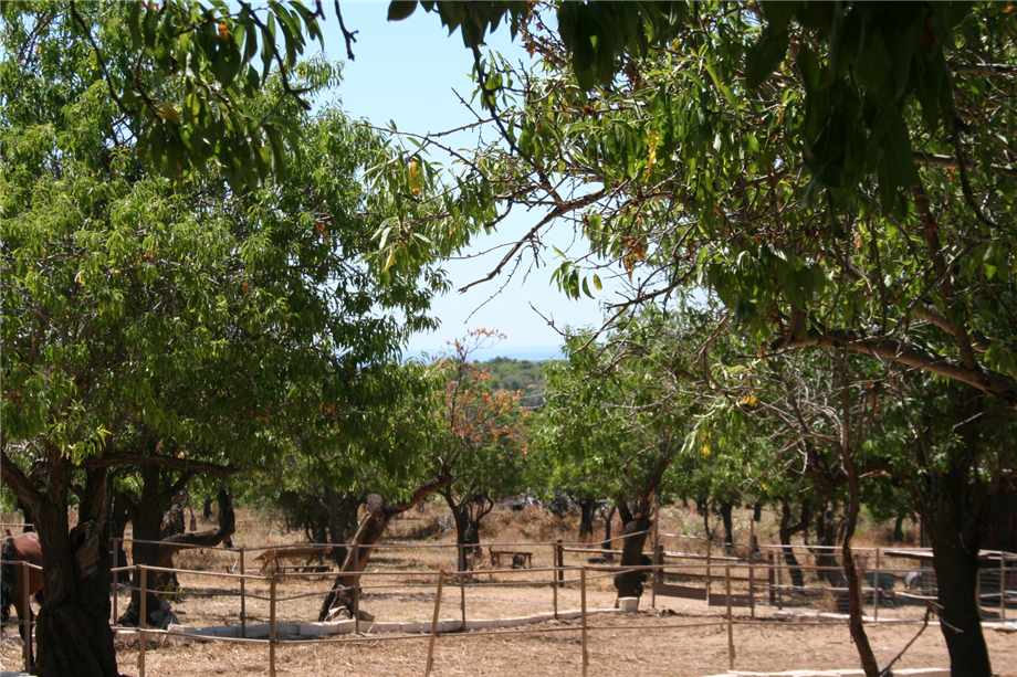 Venta Agroturismo Noto #68AG n.10