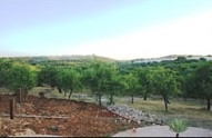 Venta Agroturismo Noto #68AG n.6