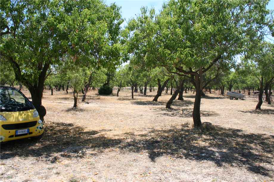 Venta Agroturismo Noto #68AG n.7