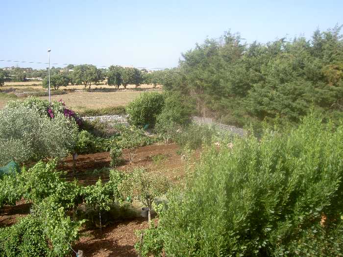 For sale Single-family Villa Modica  #1VM n.5