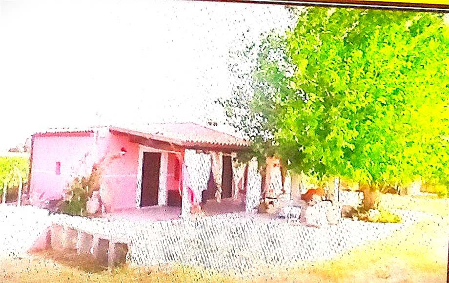 Vente Agritourisme Noto #1T n.2