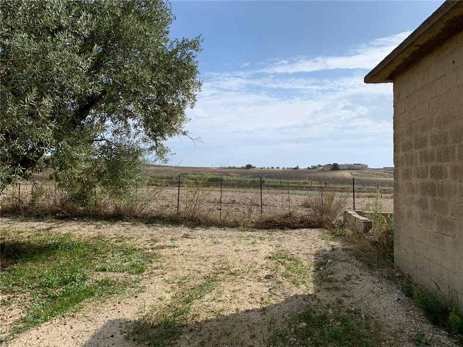 Venta Terreno Noto #16T n.3