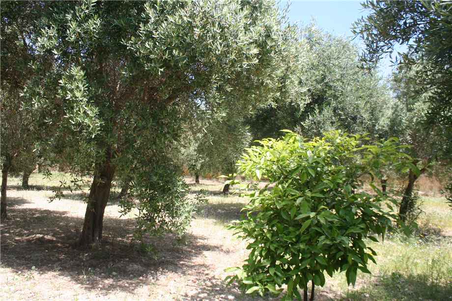 For sale Building Noto  #17S n.3