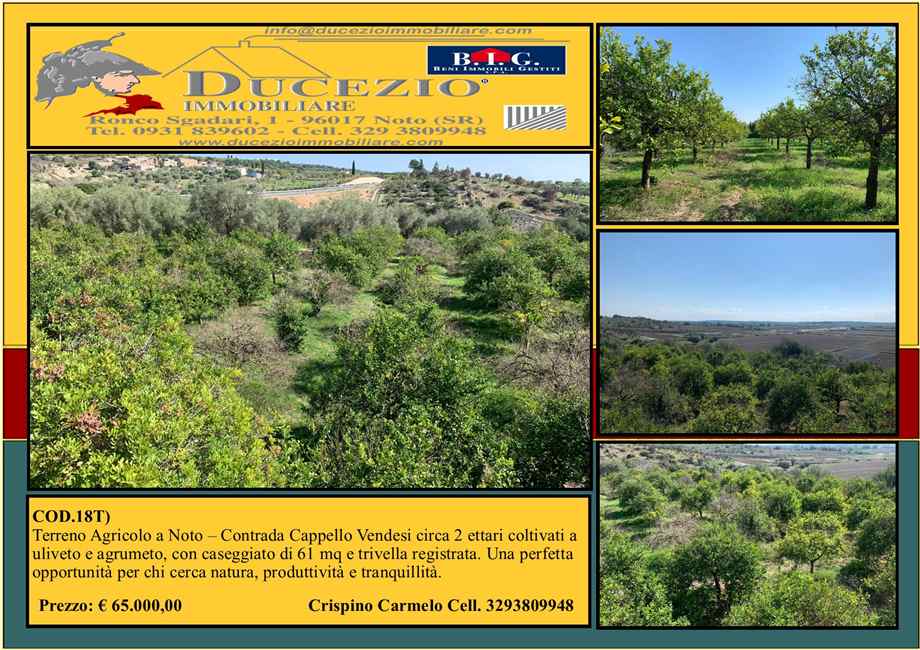 Venta Terreno Noto #18T n.1