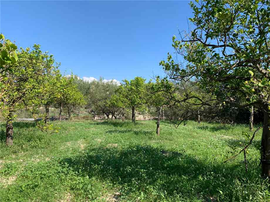 Venta Terreno Noto #18T n.4