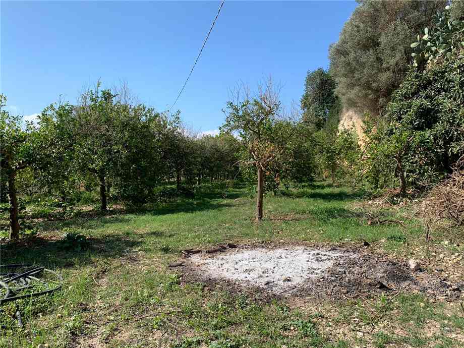 Venta Terreno Noto #18T n.8