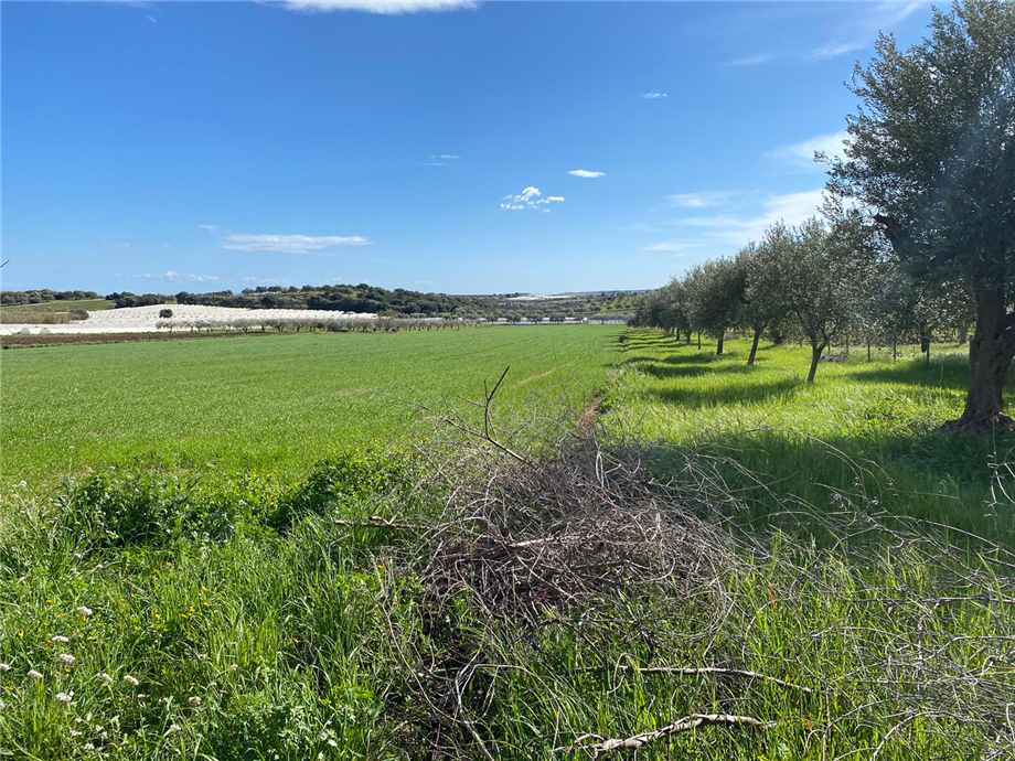 For sale Land Noto  #68T n.13