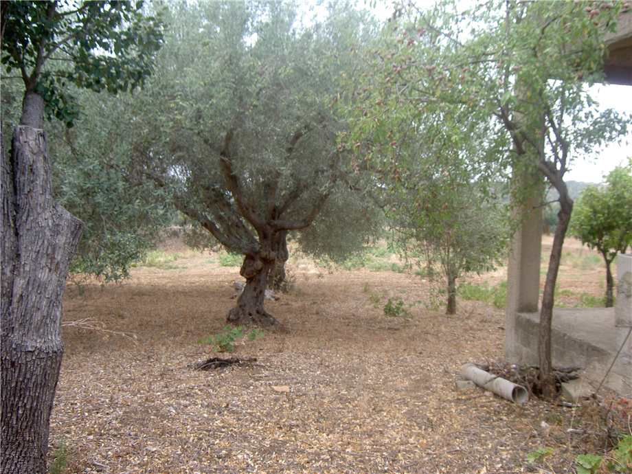Venta Ruina Noto  #68T n.6