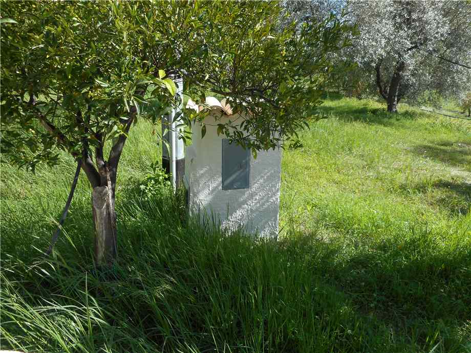 Venta Terreno Noto #1TA n.3
