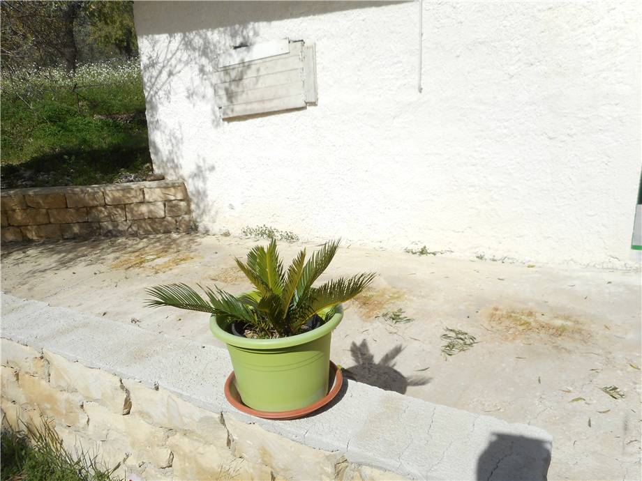 Vendita Terreno edificabile Noto  #1TA n.5