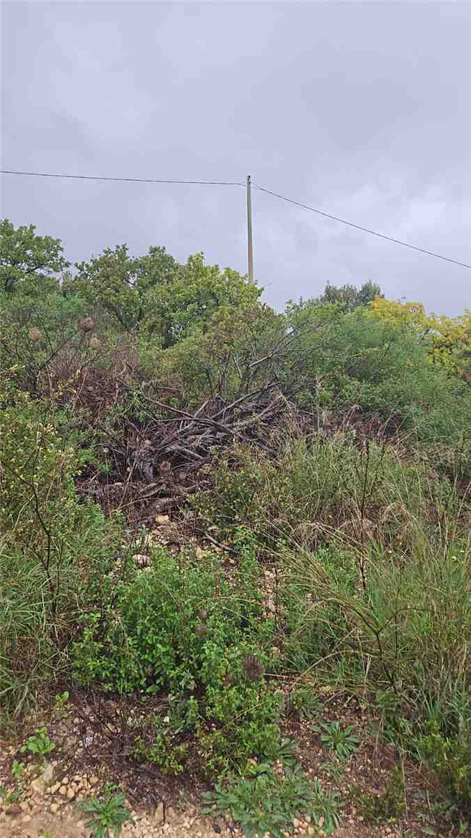 Venta Terreno Noto #11TT n.4