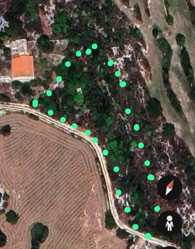 Vendita Terreno Noto  #11TT n.9