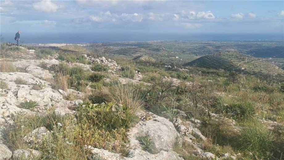 Venta Terreno Avola  #1TC n.13