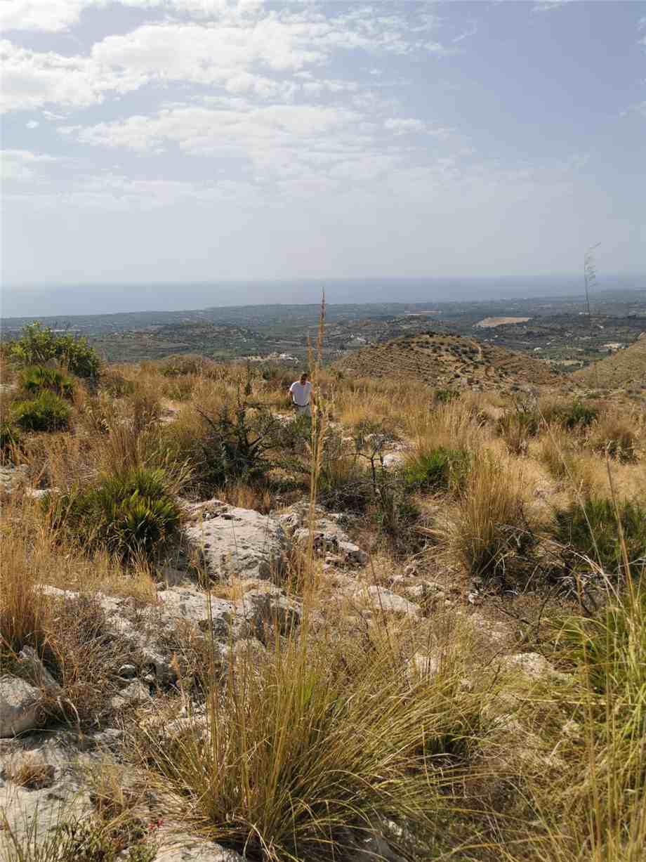 Venta Terreno Avola  #1TC n.8