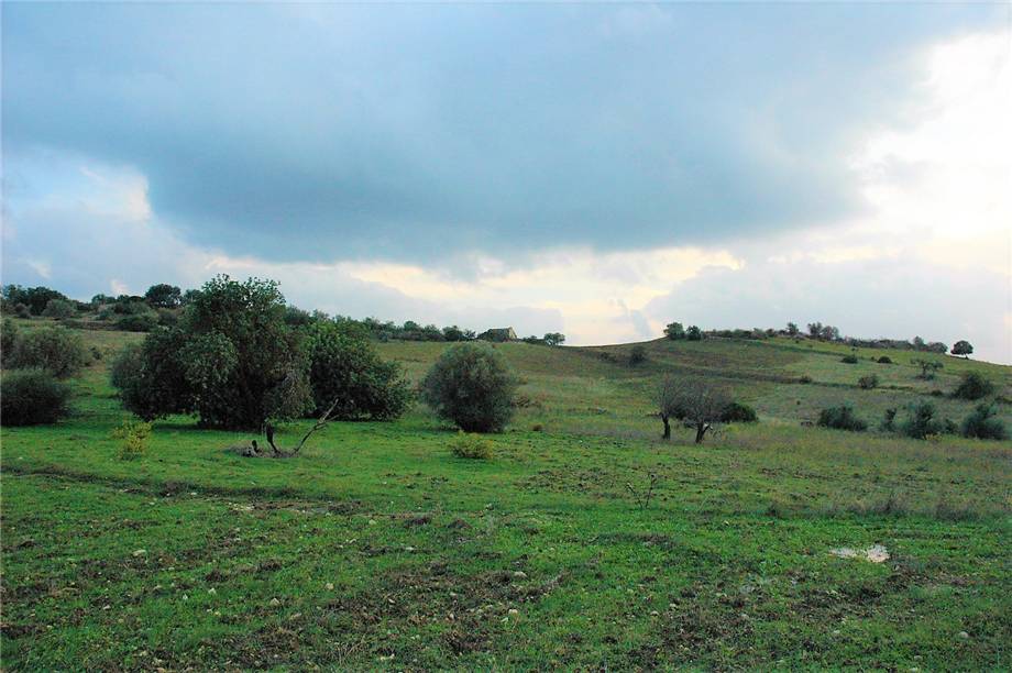 For sale Land Noto  #294T n.2
