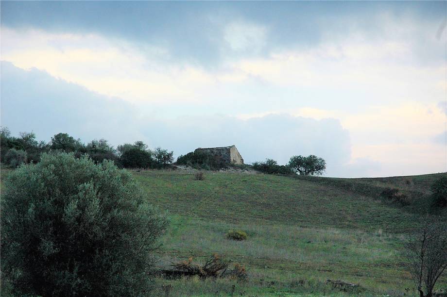 For sale Land Noto  #294T n.3