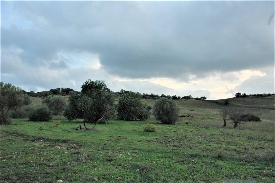 For sale Land Noto  #294T n.4
