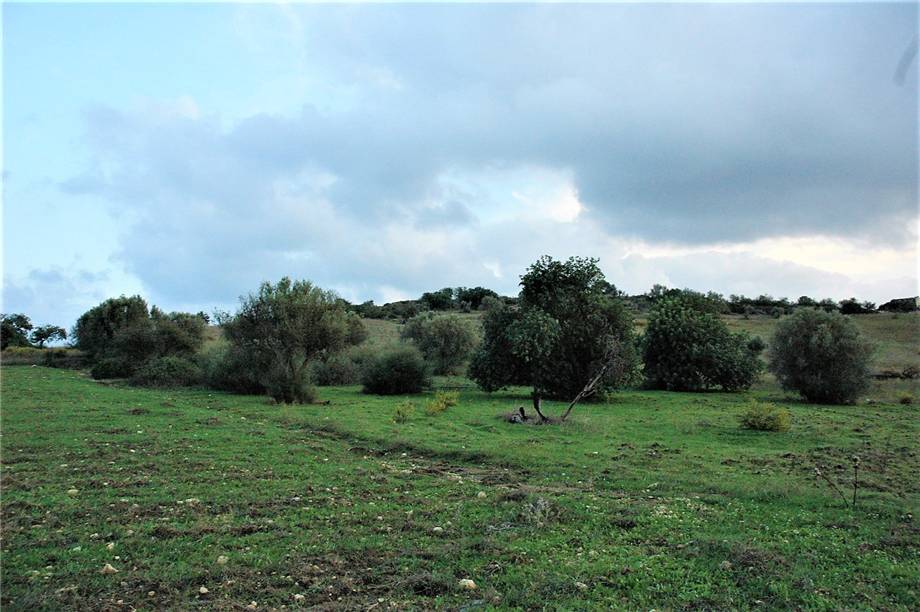 For sale Land Noto  #294T n.5