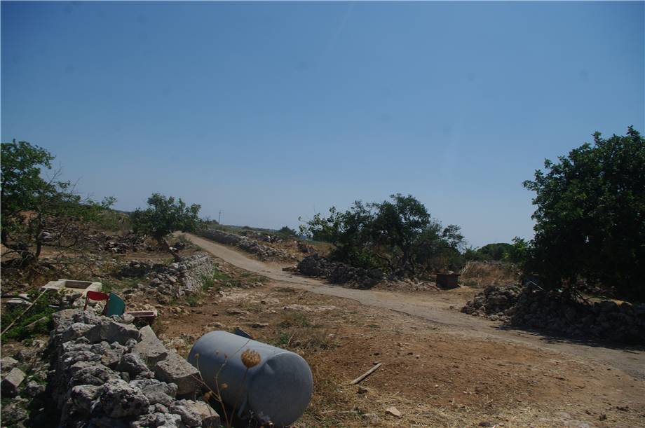 Vente Baglio Noto #354T n.13
