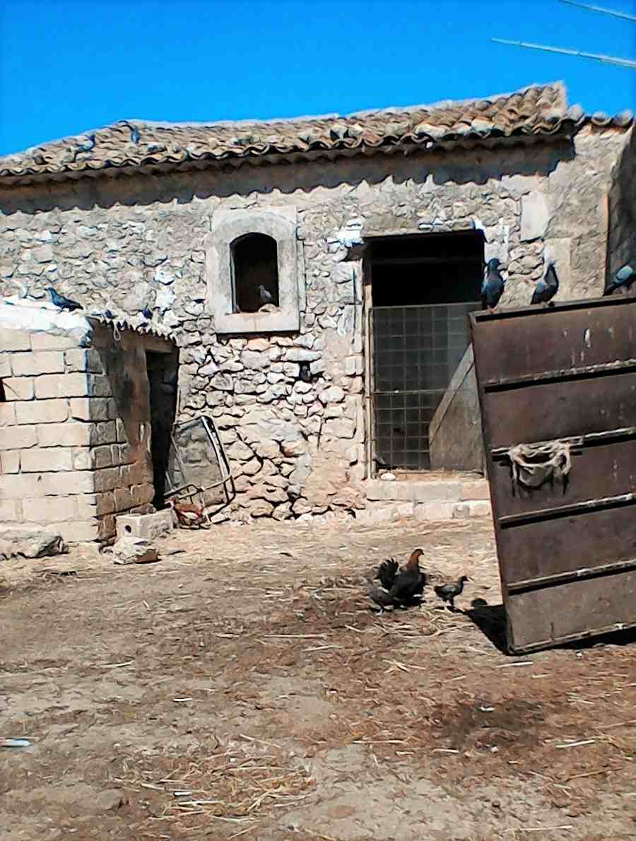 Vente Baglio Noto #354T n.3