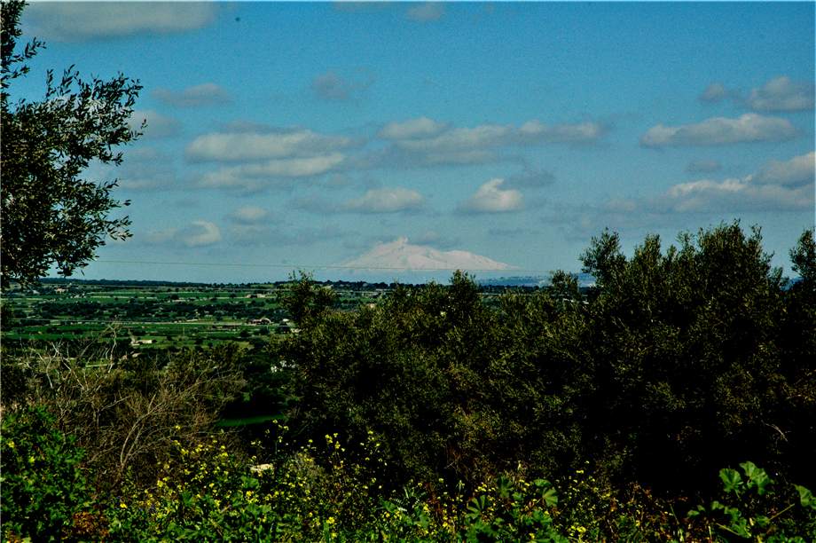 Venta Terreno Canicattini Bagni C/DA BOSCO DI SOPRA #2T n.12