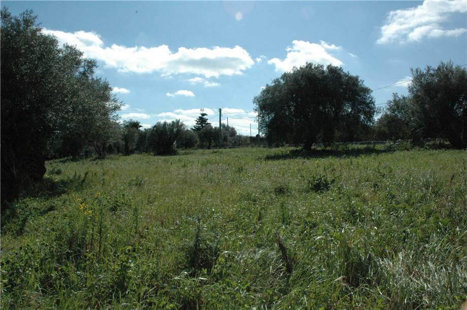 Venta Terreno Canicattini Bagni C/DA BOSCO DI SOPRA #2T n.13