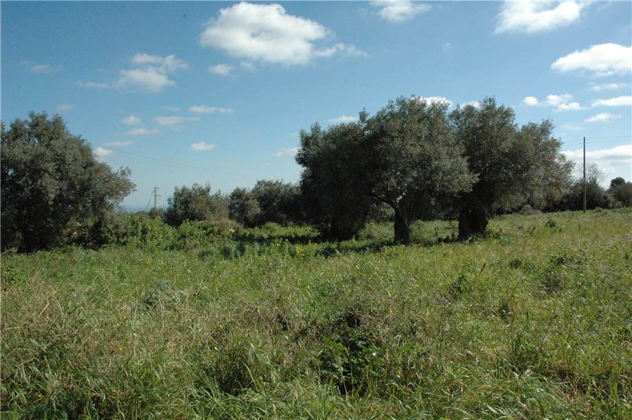 Venta Terreno Canicattini Bagni C/DA BOSCO DI SOPRA #2T n.14
