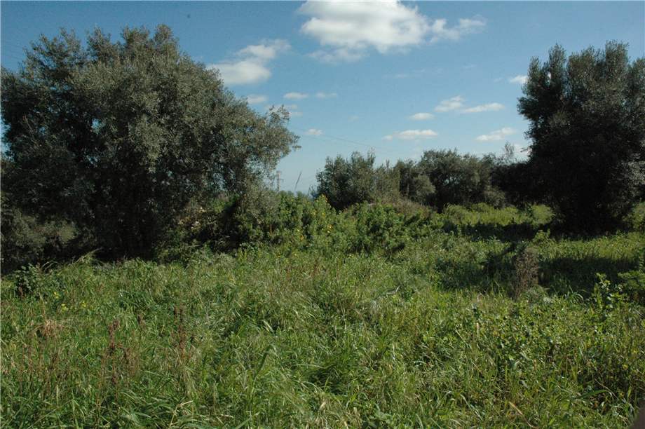 Venta Terreno Canicattini Bagni C/DA BOSCO DI SOPRA #2T n.15