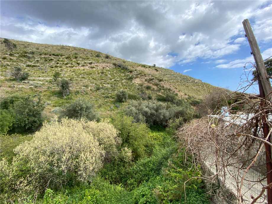 Vente Terrain Avola #36T n.3